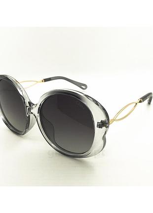 Polarized 1893 chl сірий