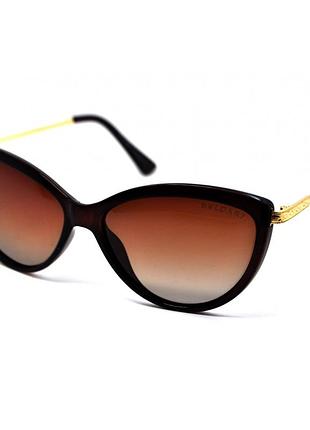 Polarized 815 bvl коричневый