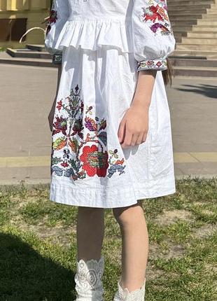 Вишита сукня 5