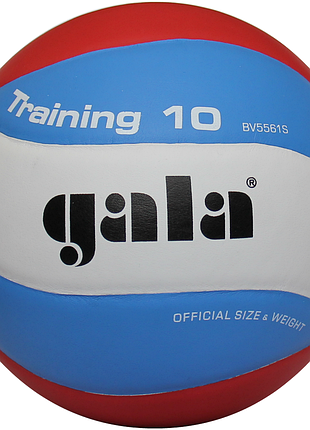 Мяч волейбольный gala training 10 bv5567s