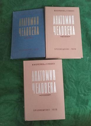 М м курепина и г г воккен анатомия человека атлас и учебник в 3 частях 1979