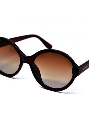 Polarized 5387 ch коричневий