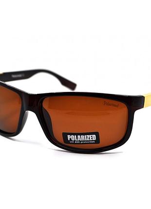 Polar eagle polarized 02266 коричневий