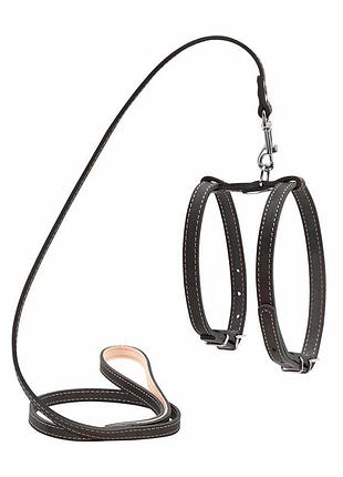 Шлей "collar" з повідцем для дрібних собак (ширина 14мм, а:27-35см, в: 35-45см, довжина 122см) чорний