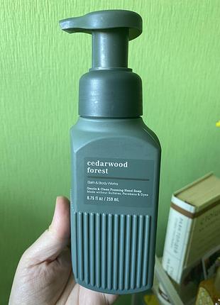 Мило-піна bath&body works cedarwood forest 259 мл