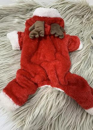 Костюм комбінезон для собак 3