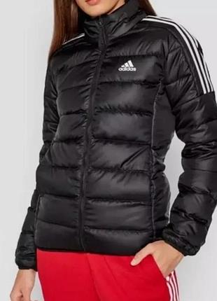 Ультралегкий пуховик adidas essentials down jacket size s