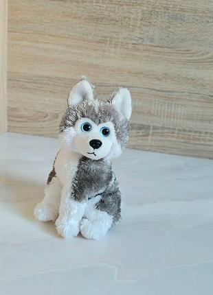 Ty beanie babies 2.0 sledder husky ≈17 см, редкий хаски