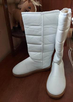 Женские сапоги дутики