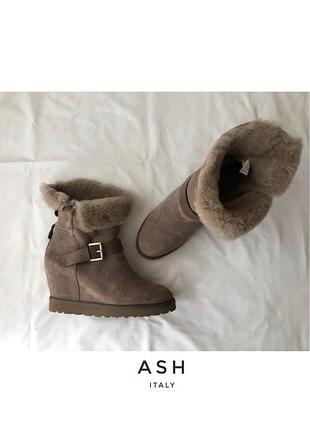 Черевики ash. овчина натуральна