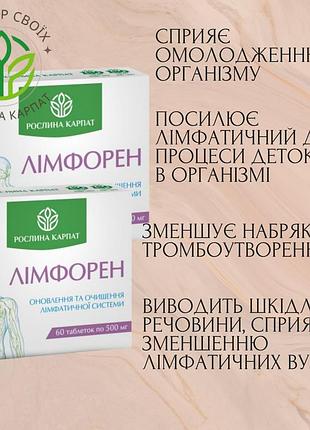 Очищення та оновлення лімфатичної системи – позбуття набряків