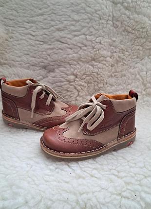 Ботинки "clarks ".