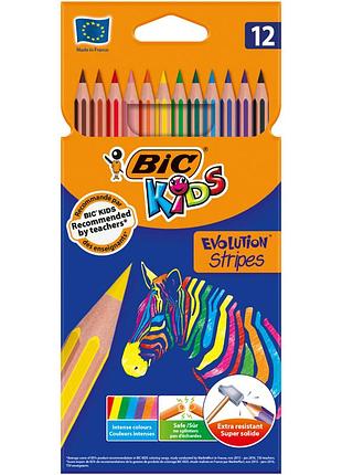 Карандаши цветные bic evolution stripers 12 шт (bc9505221)