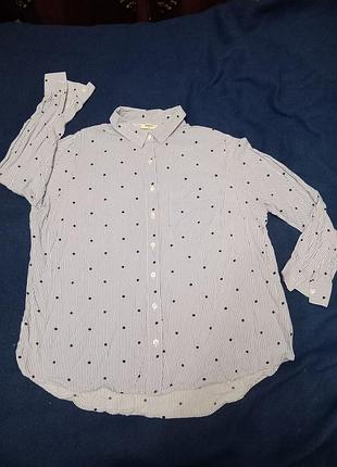 Жіноча віскозна сорочка, у смужку і горох, papaya, оригінал, р. xl - xxl