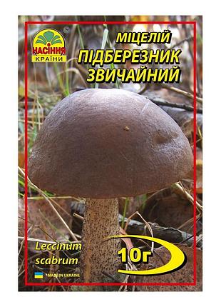 Подберезовик 10 г