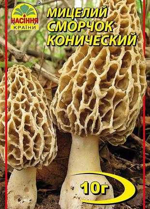 Сморчок конический 10 г