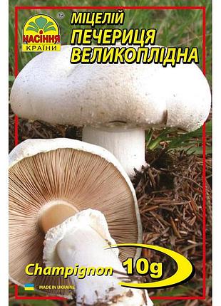 Шампиньон крупноплодный 10 г