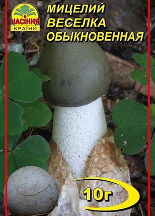 Мицелий гриба веселка лечебная 10 г