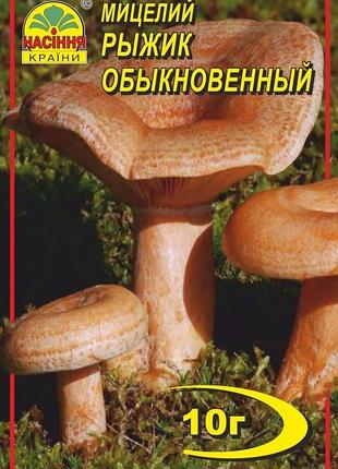 Рыжик 10 г