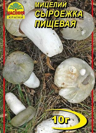 Сыроежка 10 г