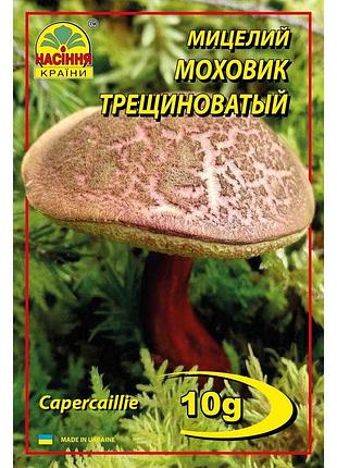 Моховик трещиноватый (пестрый) - 10 г