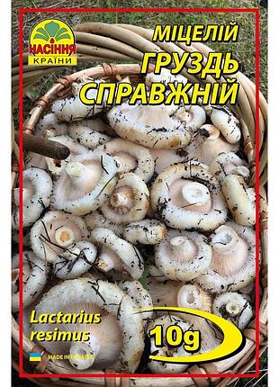 Груздь 10 г