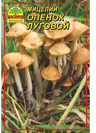Опенок луговой 10 г