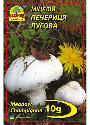 Шампиньон луговой 10 г
