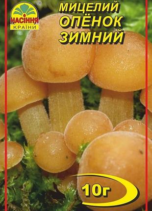Опенок зимний 10 г