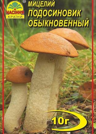 Подосиновик 10 г