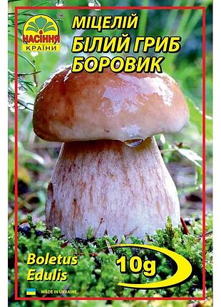 Белый гриб боровик 10 г