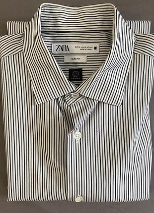 Чоловіча сорочка zara slim fit у смужку, біла з чорним