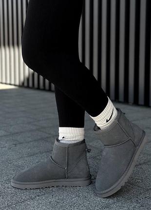 Жіночі уггі ugg mini grey lux | 36–40