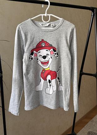 Реглан h&m 6-8 років 122-128 см