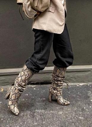 Змеиные сапоги zara,р.38