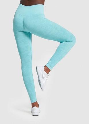 Лосіни gymshark