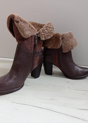 Ботильоны полусапожки кожаные ugg jayne 3