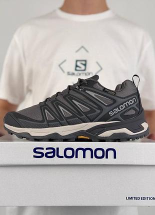 Термо кросівки salomon speedcross pro thinsulate grey beige