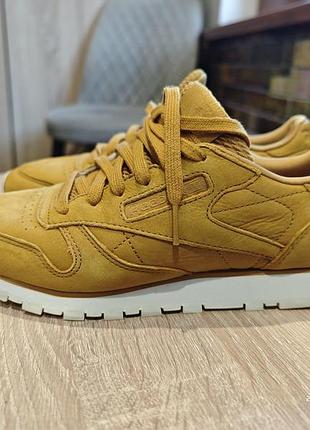 Кросівки reebok
