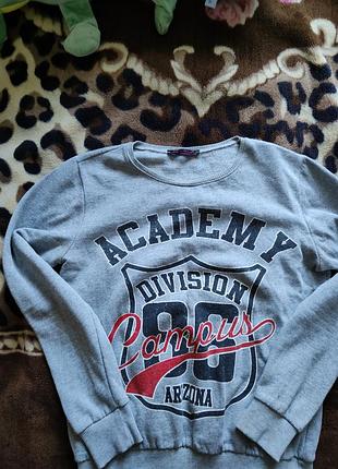 Светр жіночий сірий з написом academy division 96 campus arizona