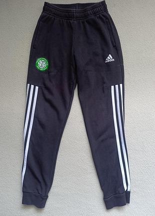 Спортивні штани селтік adidas