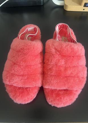 Нові жіночі капці ugg