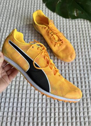 Кросівки бігові 42 puma evospeed star 8 orange