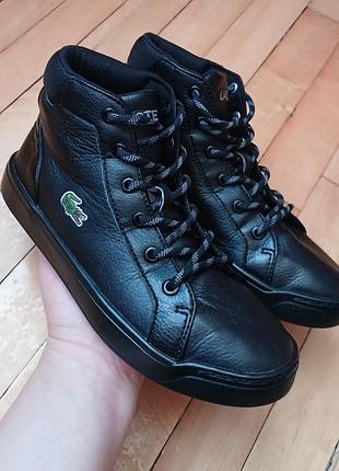 Осенние ботиночки,высокие кеды lacoste