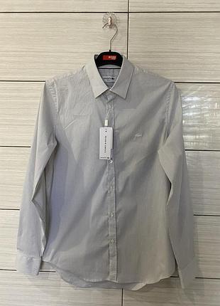 Чоловіча сорочка lacoste slim fit в мікроклітинку (ch4868 00 166) —  size m
