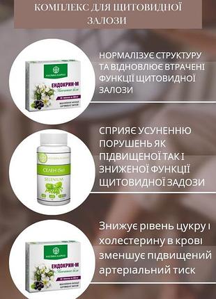 Фито комплекс для поддержки щитовики