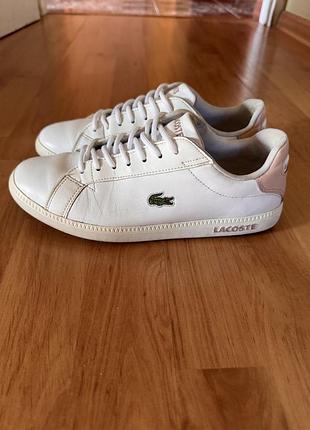 Кеди lacoste