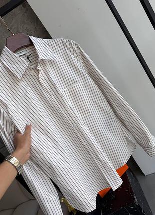 Нова колекція сорочка ysl saint laurent у коричневу смужку