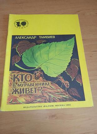 Кто в кладажнике живет? олександр тамбиев детская книга 1985