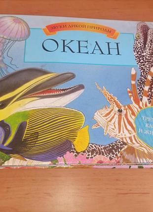 Звуки дикої природи океан дитяча книга  поп ап книга нюанс